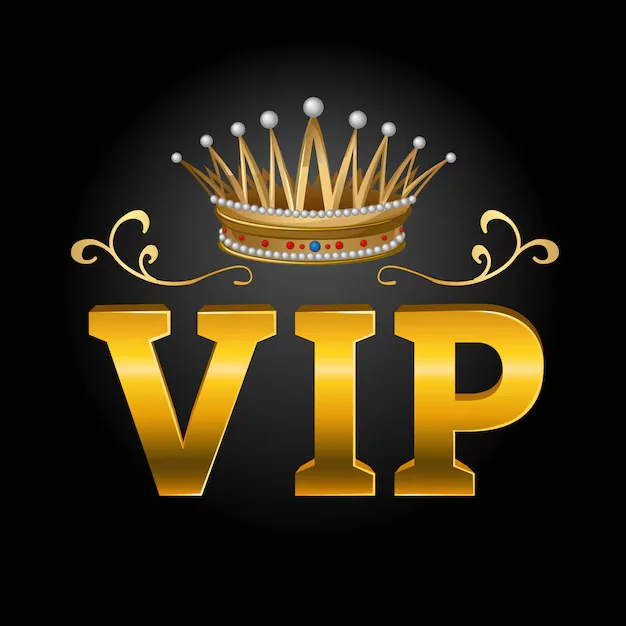 

VIP discount payment link