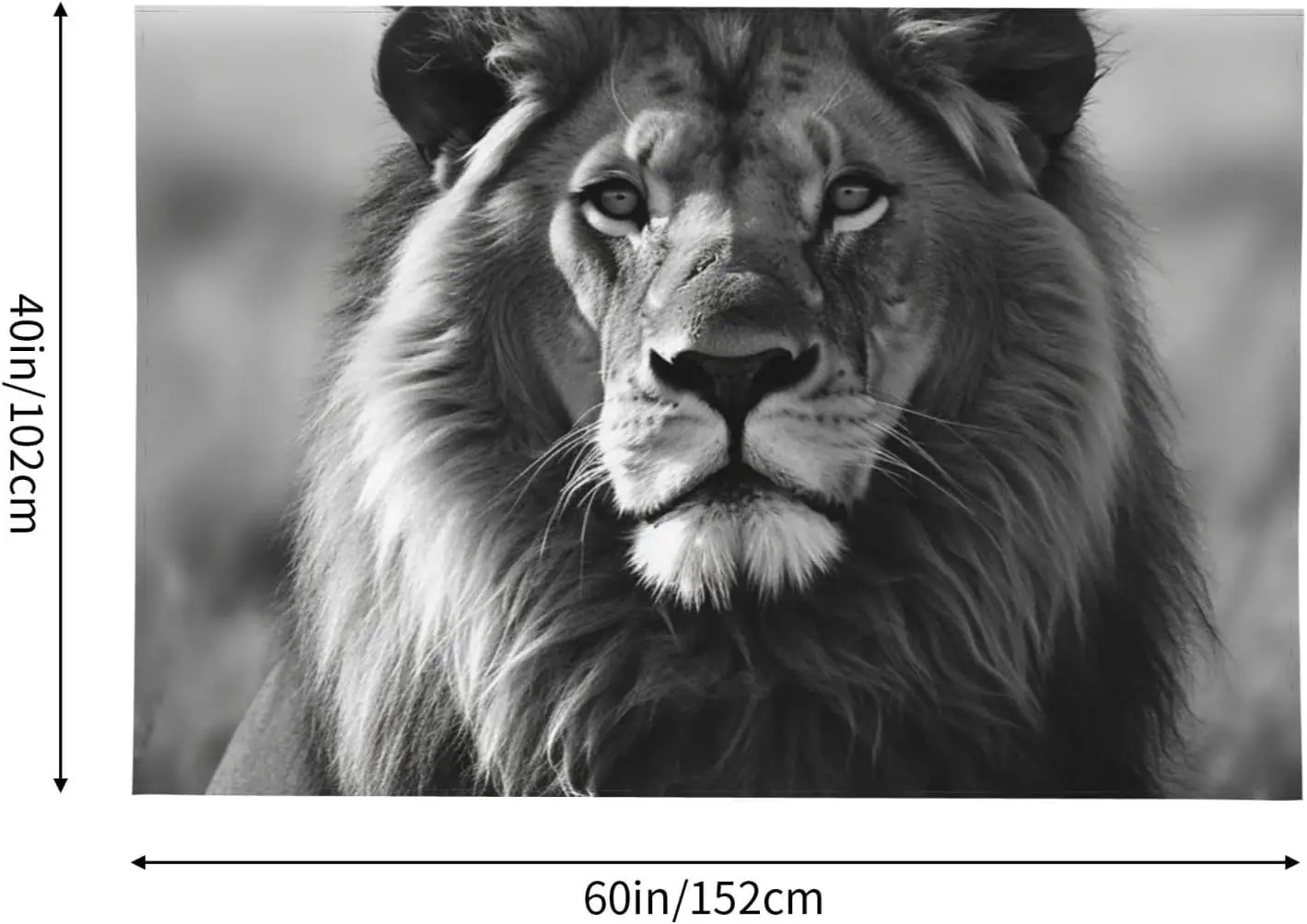 African Lion Black And White Tapestry Wall Hanging, Velvet Wall Tapestry No Damage Backdrop Poster Wall Art For Bedroom Living