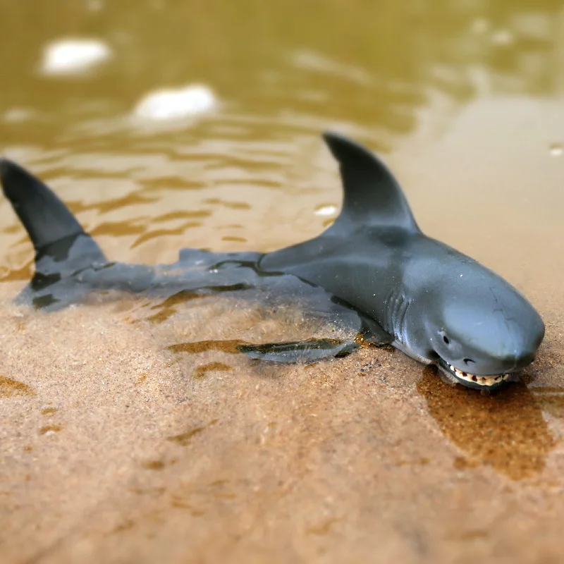 1Pcs Simulation Sale Sea Life  Animals Models Sharks Action Figures Toy Educational Collection Educational Toy for Children Gift