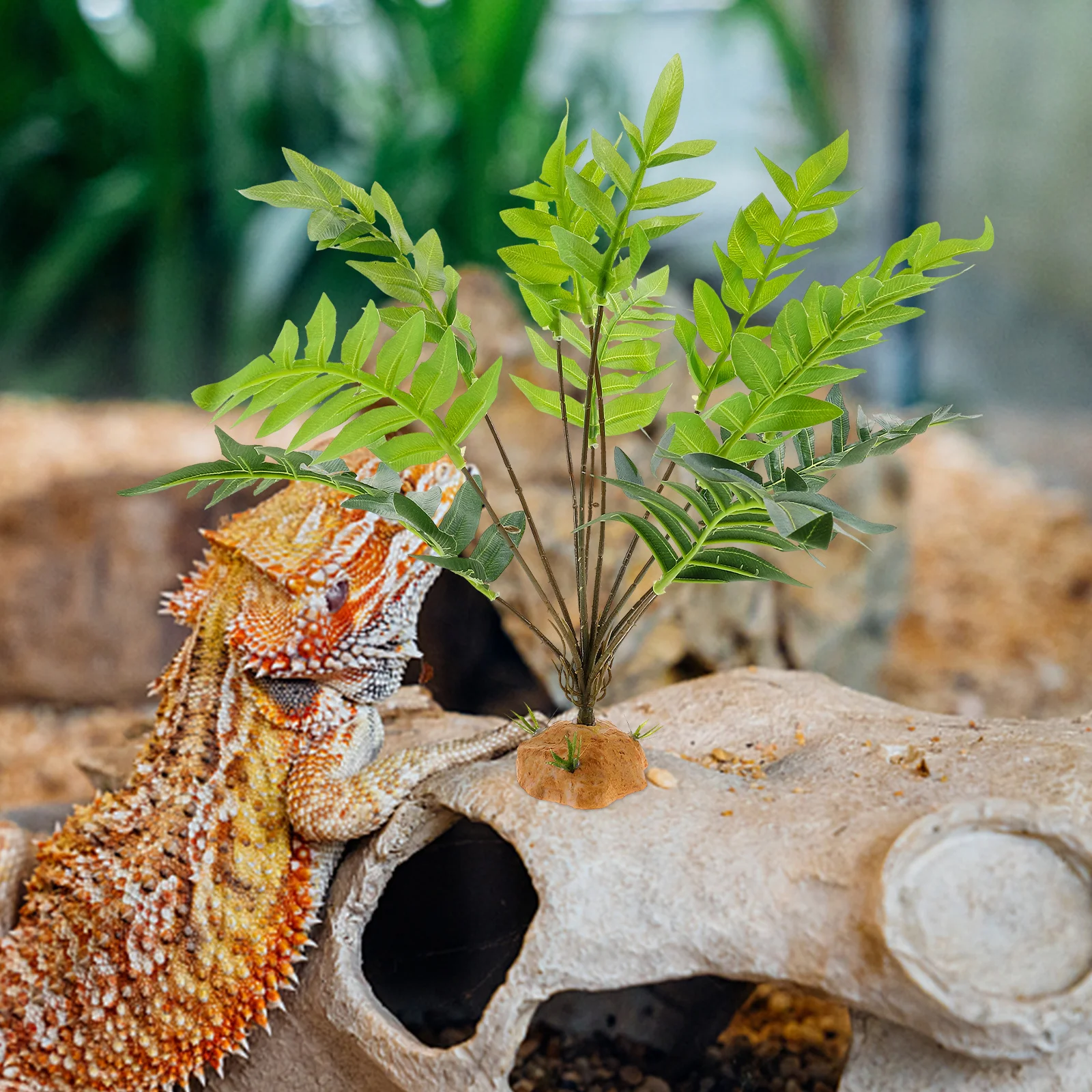 

Decorative Plant Lifelike Reptile Terrarium Plant For Aquarium Landscape Decoration Fake Plants For Reptiles Fish Tank