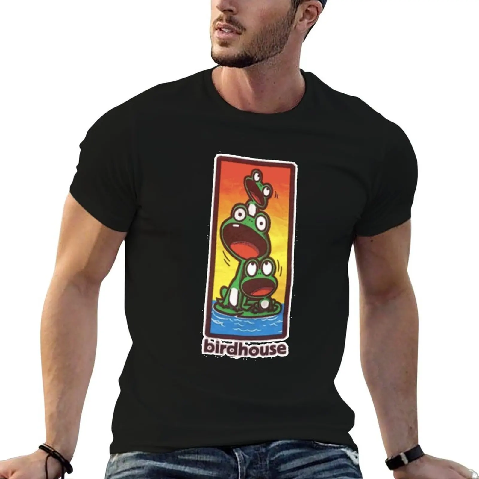 Vintage Birdhouse Tony Hawk Bird House Hook Ups Skate Brand Cartoon Hookups Hook Ups Cute Frogs Anim T-Shirt