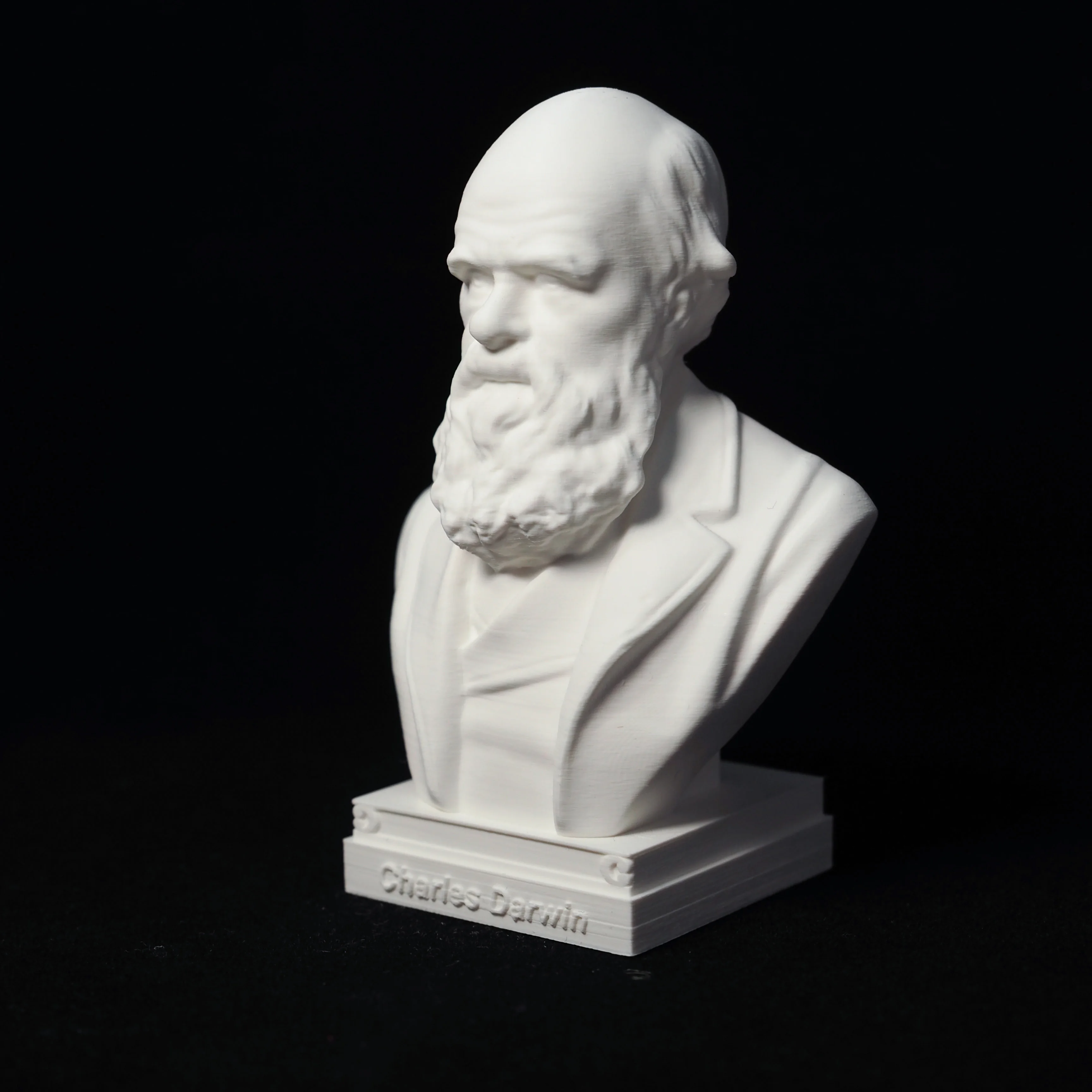 

Darwin imitation plaster sculpture tabletop ornaments European scientist study decoration crafts great man portrait