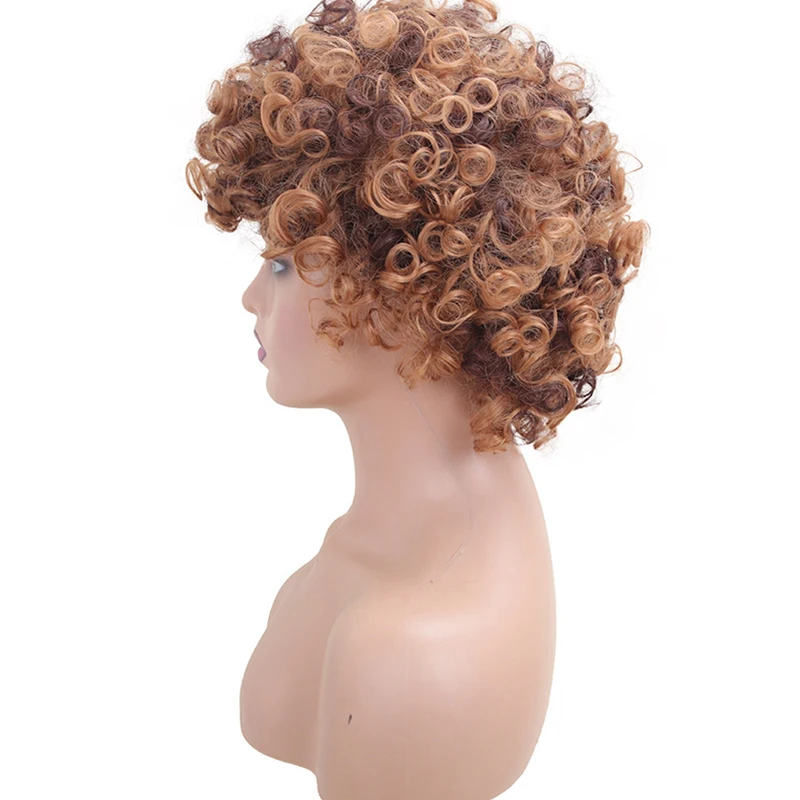 8インチのブラウンのアフリカのカーリー合成ウィッグは黒人女性に適しています。 ふわふわ、ナチュラル、耐熱性があり、日常使いに最適です。
