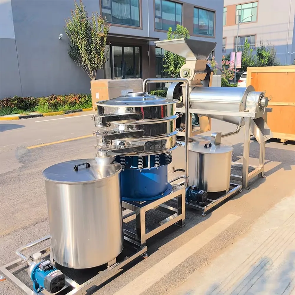 Small Scale Stainless Steel Automatic Natural Mango Fruit Juice Making Machine NFC Production Line Bottling Line