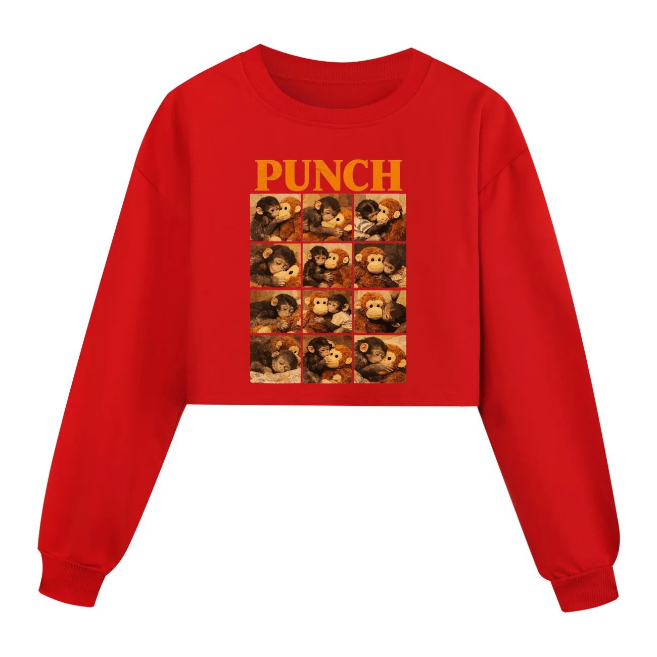 Punch Monkey Kids' Hoodie Sweatshirt Cartoon Print Funny Casual Pullover Spring Fashion Top for Boys & Girls