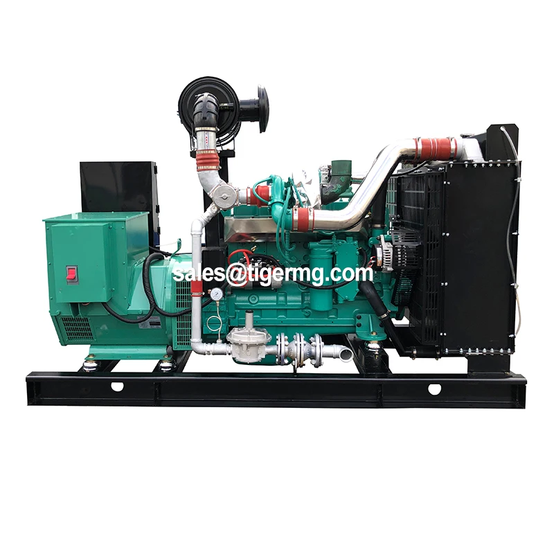 

40kw 200kw Electric Silent Natural Gas Digester with Turtle Biogas Engine lpg Generator From Germany Set in Pakistan Spark Plug
