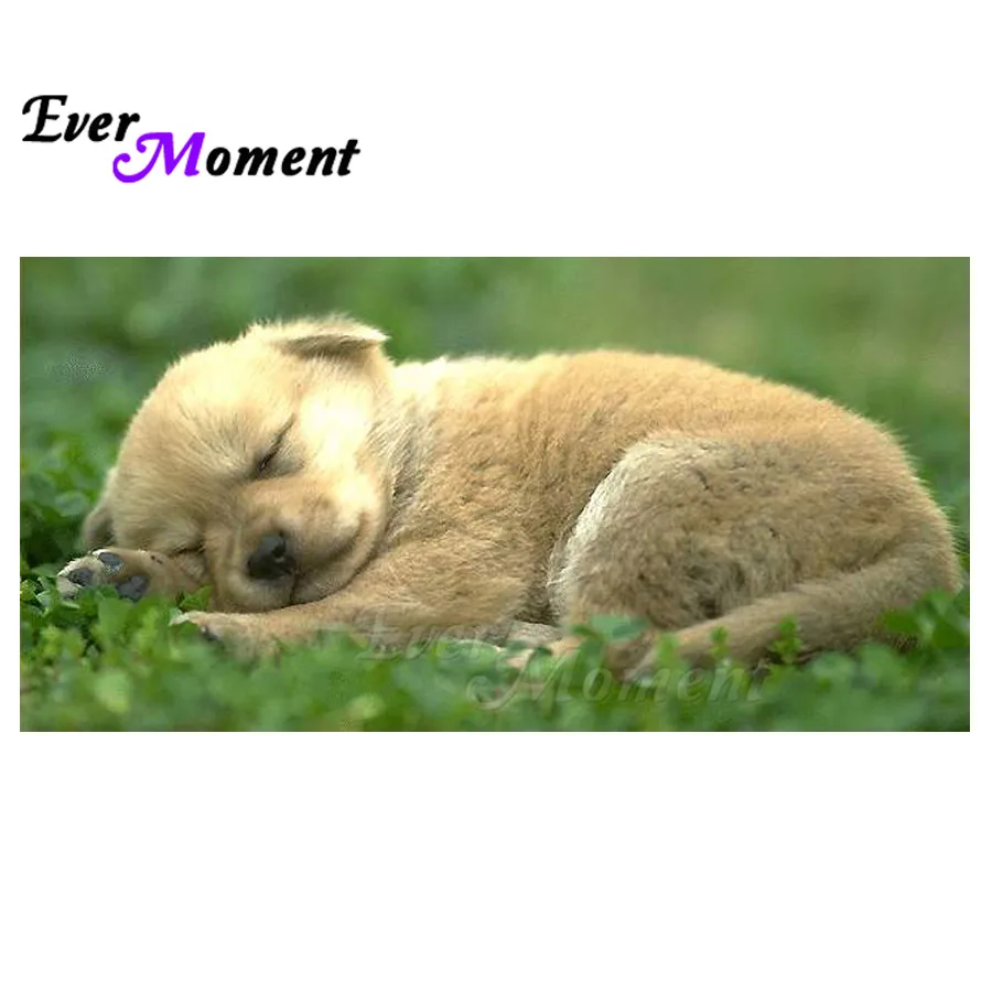 

Алмазная картина Ever Moment, спящая собака, изображение горного хрусталя, полная квадратная дрель, алмазная вышивка, вышивка крестиком, 5D DIY ASF1359