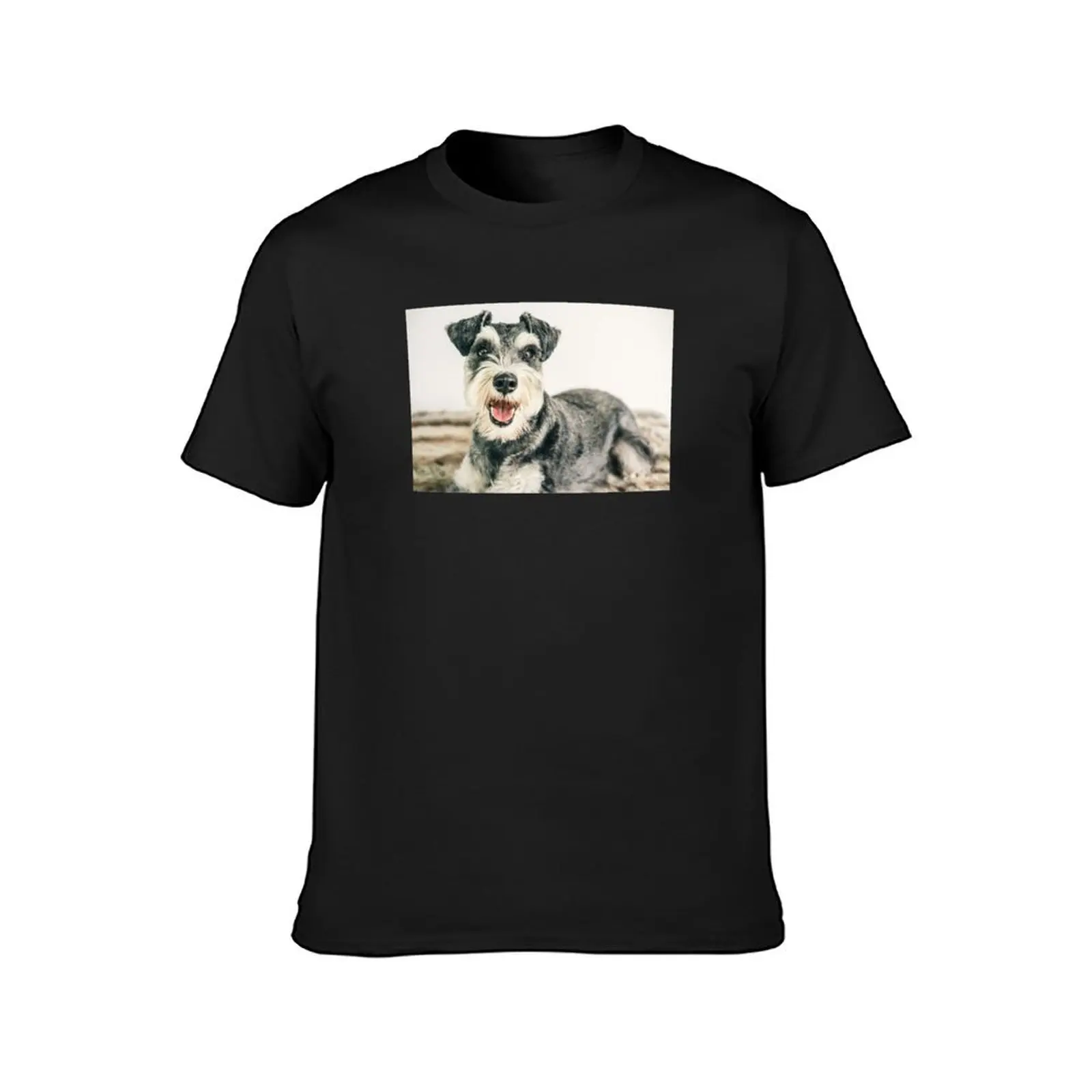 Miniature Schnauzer Dog T-Shirt customs design your own heavyweights korean fashion Men's t-shirts