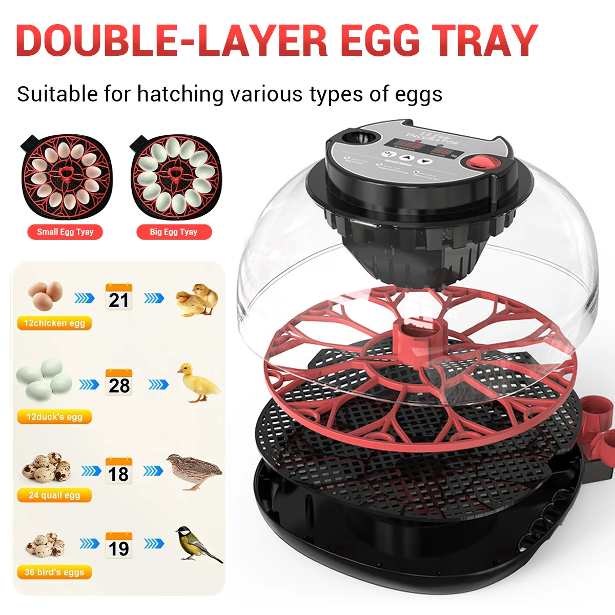 12마리 병아리 부화기 계란 부화기 메추라기 앵무새 가정 사육 지능형 부화기