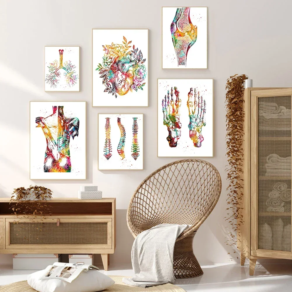 Modern Anatomy Wall Art Human Body Muscle System Hd Canvas Paintings Posters Prints Medical Education Home Bedroom Decoration