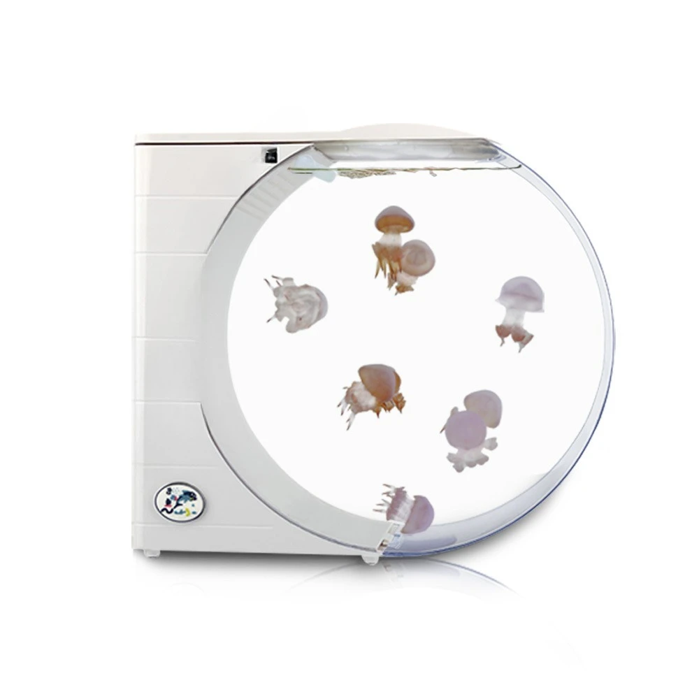 

10 liters, jellyfish tank, electronic jellyfish tank, desktop, ecological