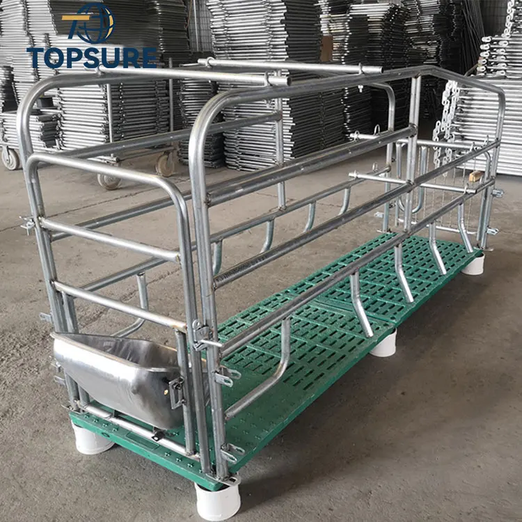 for-2025 Hot Selling Pig Farm Equipment Farrowing Crate with Pvc Fence Farrowing Pen for Sale*
