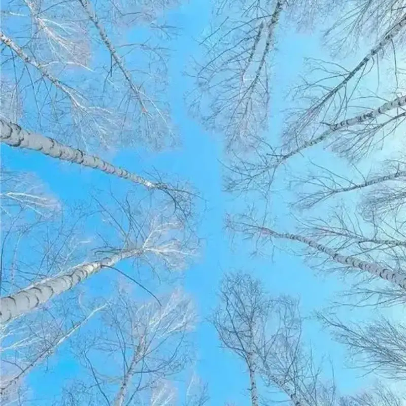 

125kHz 13.56MHz Dual Frequency ID IC Reader USB Driverless Contactless ID Card Reading Machine for Door Access Control System