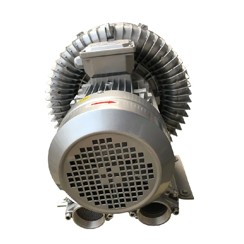 

Three Phase High Pressure Fish Farm Pond 4hp Aquarium Regenerative Ring Blower