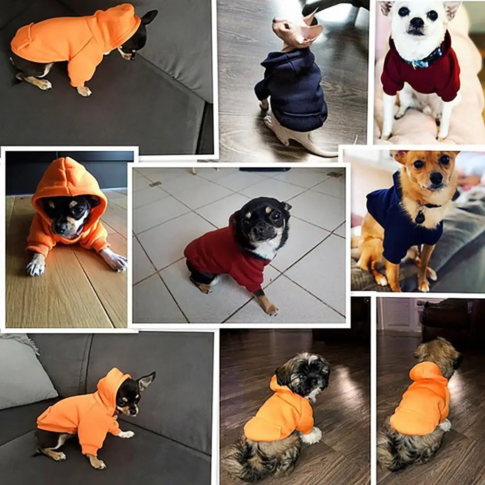 Dog Hoodies Autumn Winter Two-legged Puppy Clothes Solid Color Pocket Cat Dog Hooded Sweatshirt Soft Comfortable Pet Hoodies