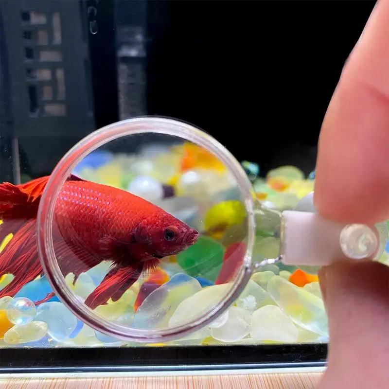 Aquarium Magnifying Glass Acrylic Suction Cup Viewer Small Animal Plant Observation For Viewing Coral Fish Tank Accessories