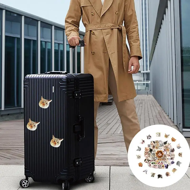 Pak stiker kucing lucu tahan air stiker kucing realistis dan beruntung untuk Laptop sepeda ponsel Skateboard hadiah untuk anak-anak