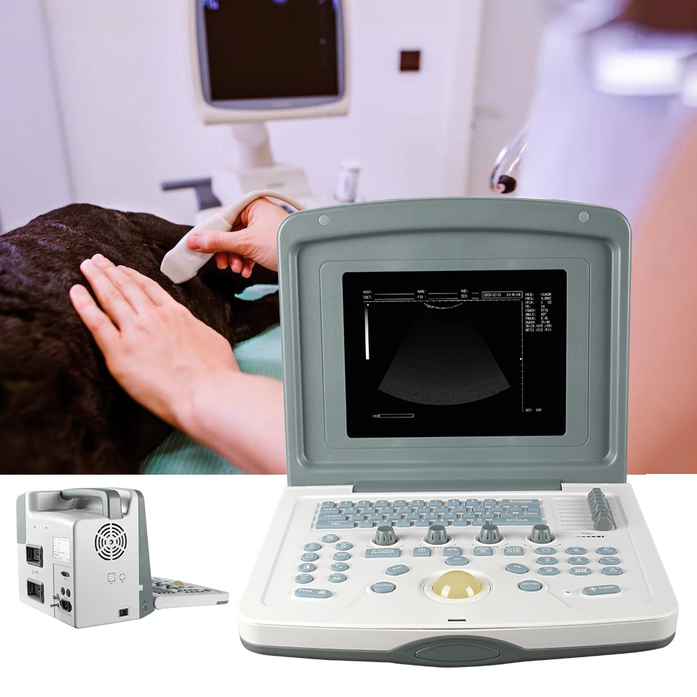 S880Prime VET China-Made Obstetric Ultrasound Color Doppler Machine Diagnosis Device With CE Certified Transducer