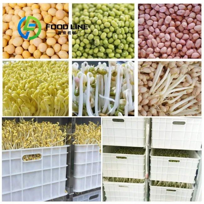 Factory Low Price Seed Germination Machine Bean Sprout Energy Saving Bean Sprout Machine