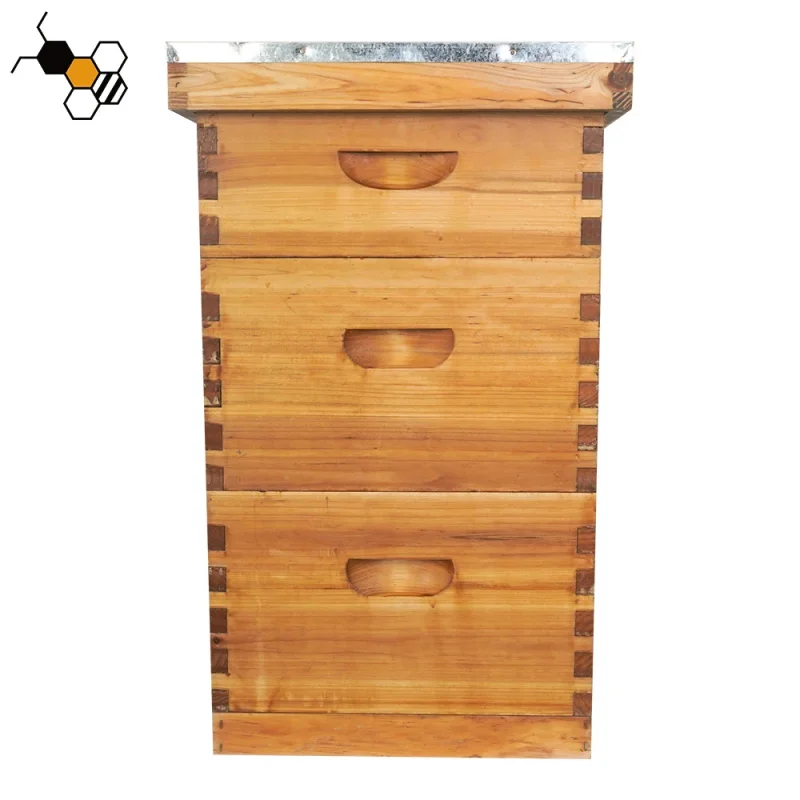 New Wax Coated Wooden Langstroth Beehive Boxes With 20Mm Thickness And Dovetail Joint