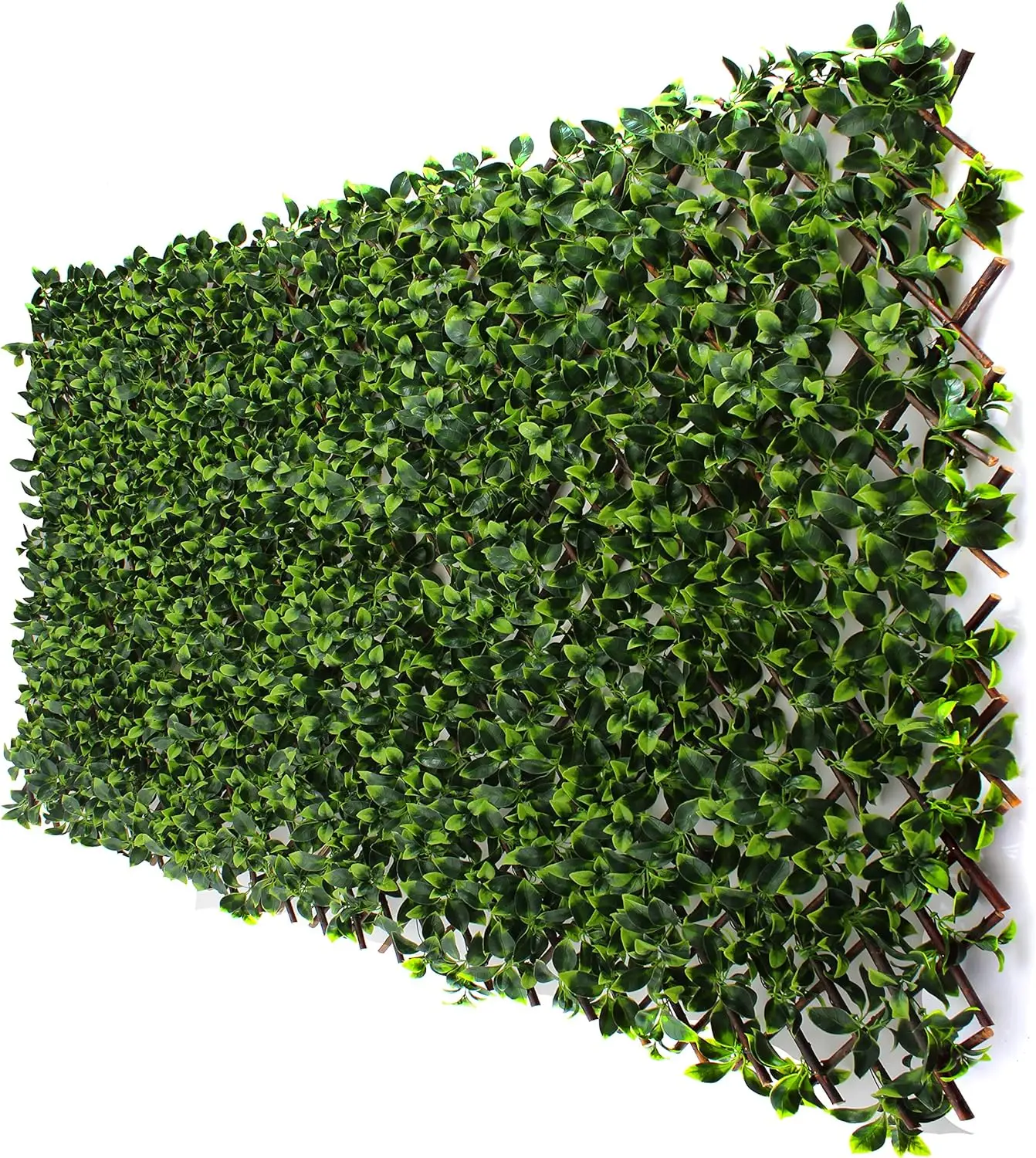 

3rd Street Inn Gardenia Leaf Trellis 4-Pack - Bamboo Greenery Panel - Boxwood and Ivy Privacy Fence Substitute - DIY Fencing