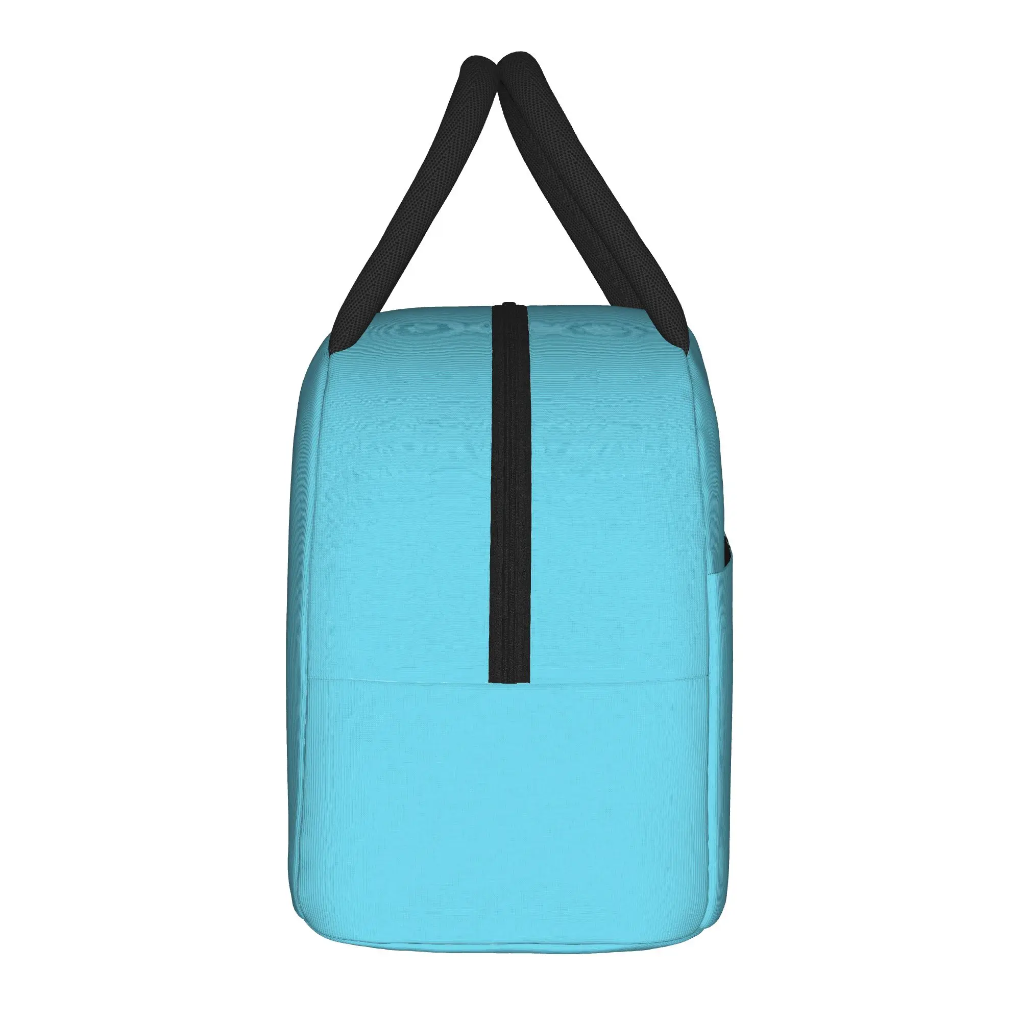 Bugcat Capoo   Milk Insulated Lunch Bag Cooler Bag Reusable,Meal Container  Leakproof Tote Lunch Box Bento Pouch Beach  Outdoor