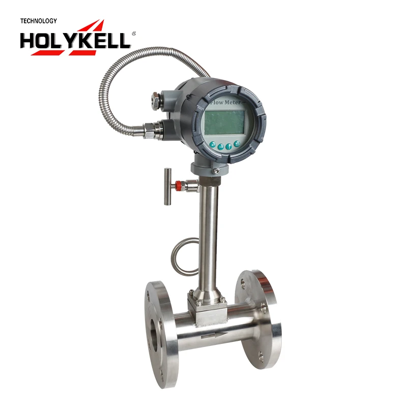 

Holykell Standard Flange Type Steam Flow Measurement Flow Meter