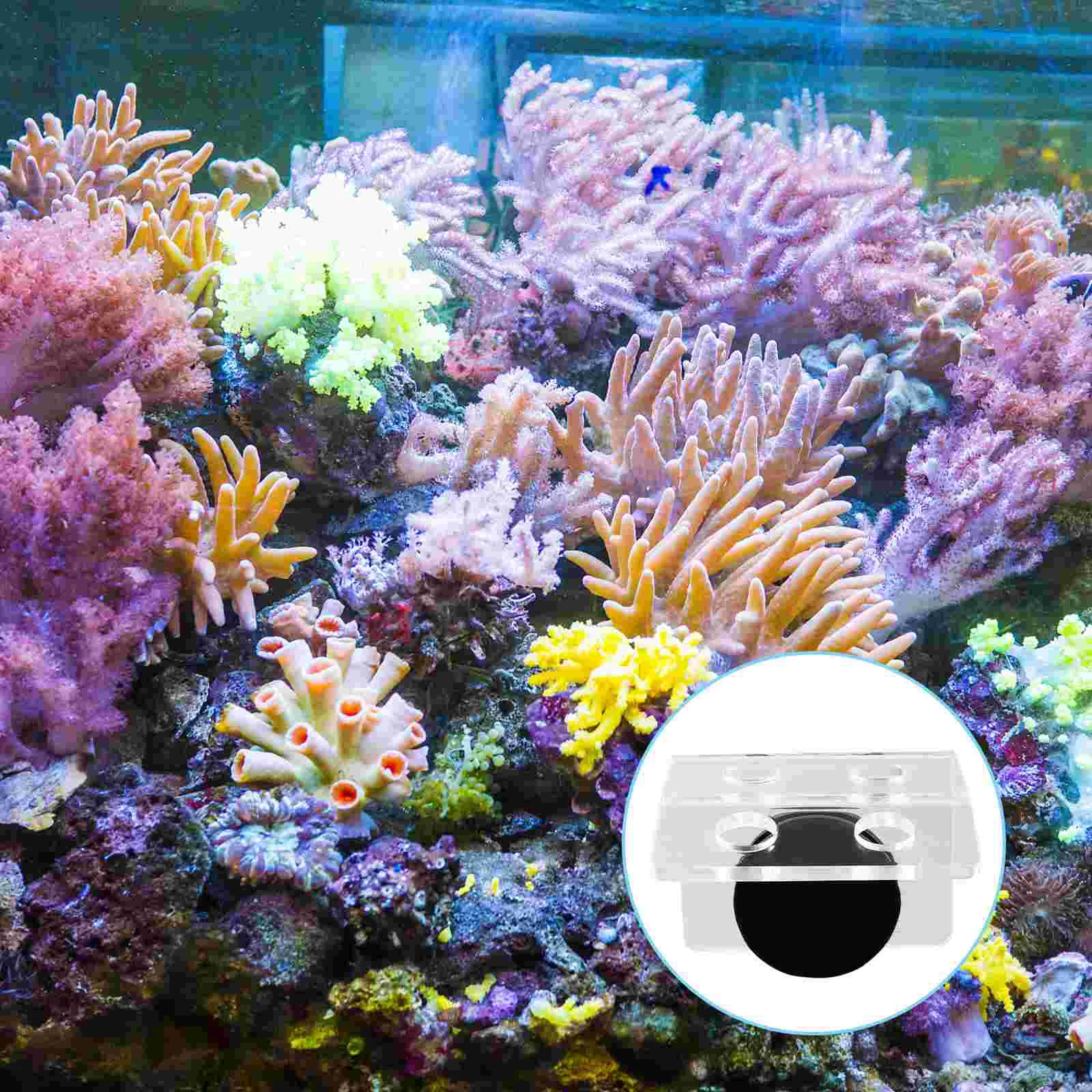 Strong Magnetic Coral Holder Acrylic Bracket Support Fish Tank Aquarium Base Reef