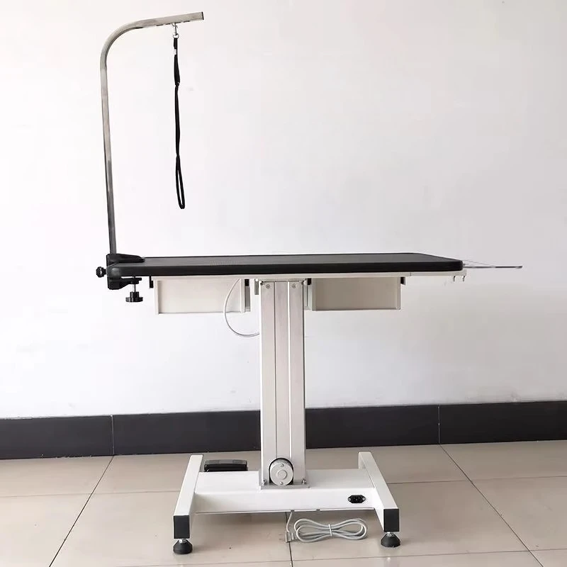 

Professional Electric Pet Grooming Table Adjustable Height for Pet Salon