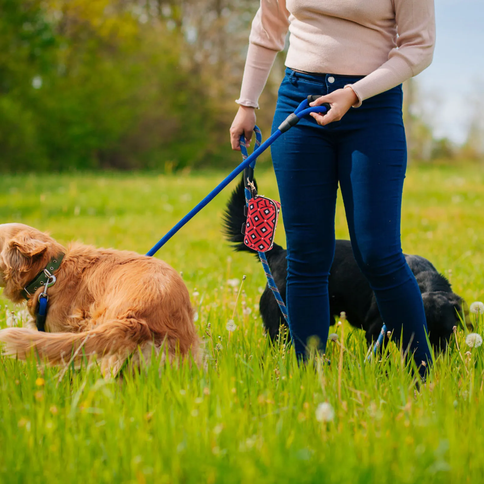 

Portable Dog Poop Bag Holder Durable Polyester Poop Bags Dispenser Leash Harness Waist Run Pet Treat Organizer