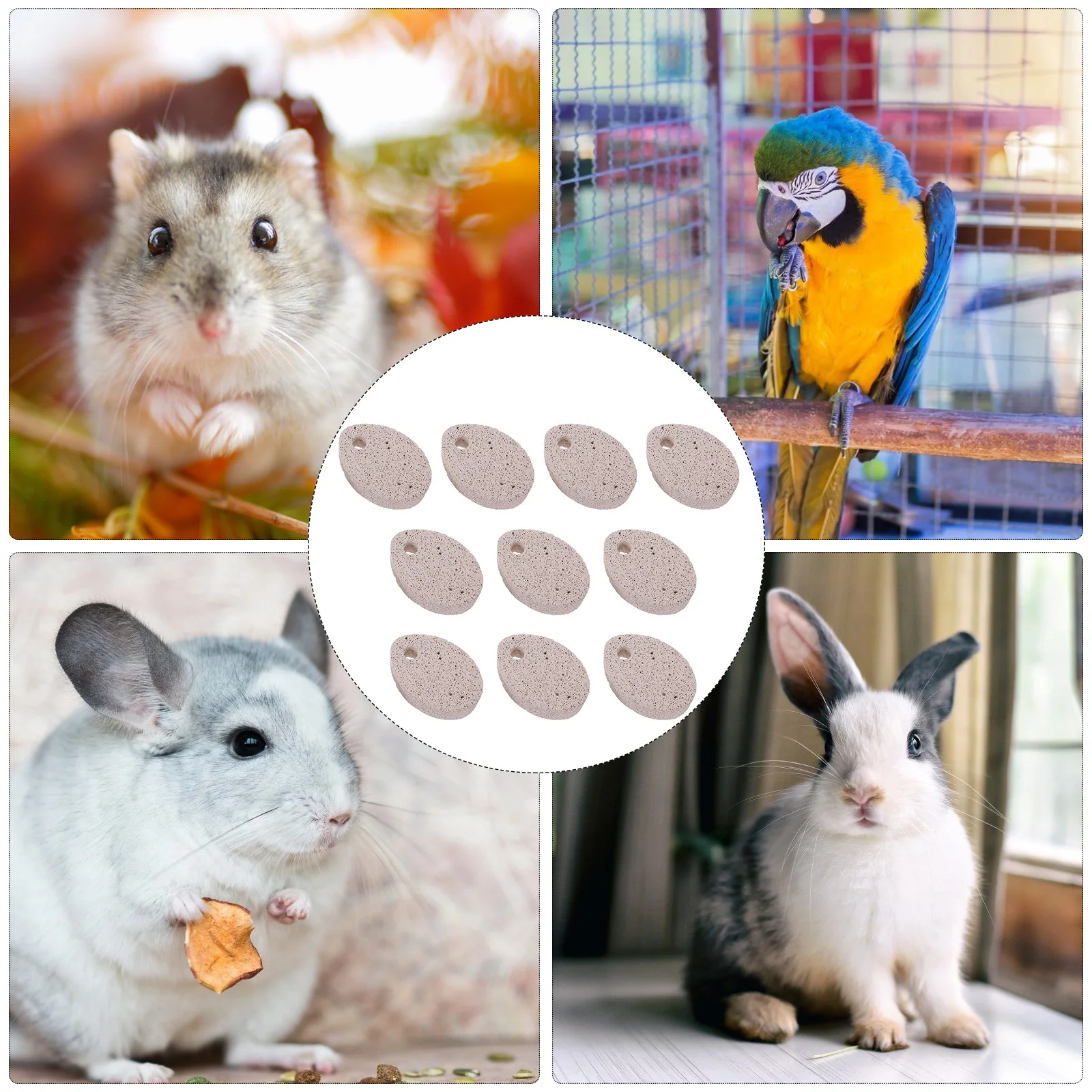 

10Pcs Pet Mineral Grinding Stone Safe Chewable for Small Animals Teeth Care Suitable for Gerbil Bunny Parrot Dental Health