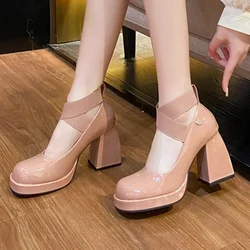 French Mary Jane Leather Shoes Women's Shoes 2023 New Temperament Outside Wear Thick Heel Waterproof Platform High Heels