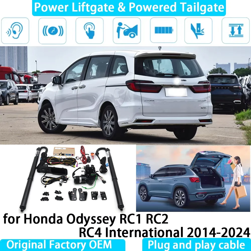 for Honda Odyssey RC1 RC2 RC4 International 2014-2024 Automatic Electric Power Liftgate Powered Tailgate Strut Tail Gate