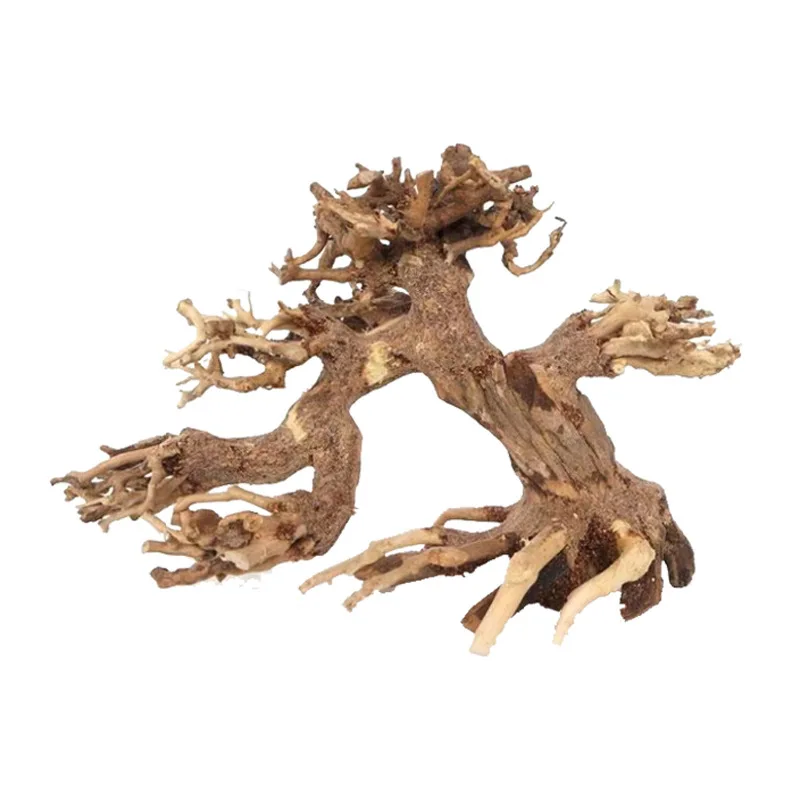 Natural Aquarium Dr…