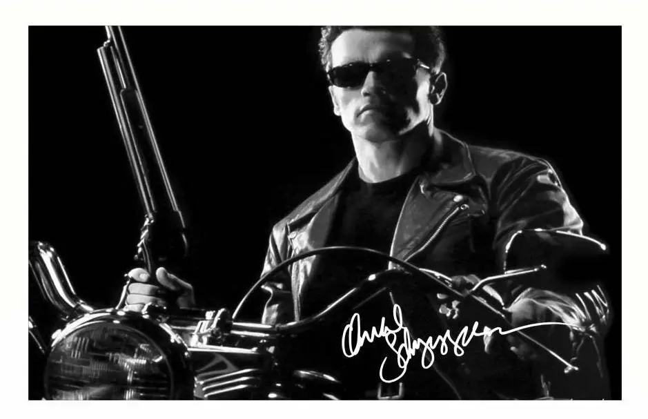 Arnold Schwarzenegger Signed Photo Print Autograph Body Buiilding Gym Poster Wall Art Rome Decoration