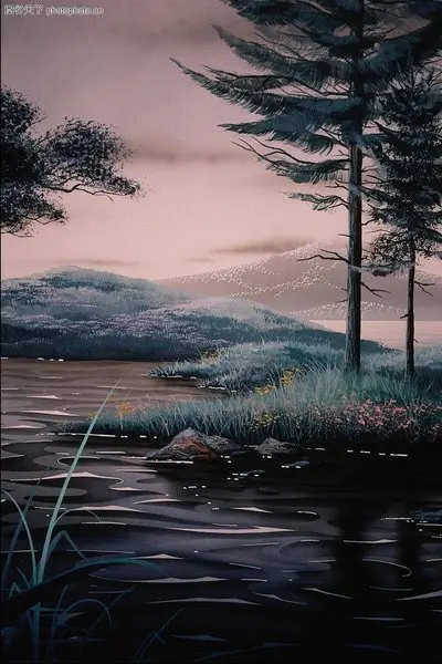 No image