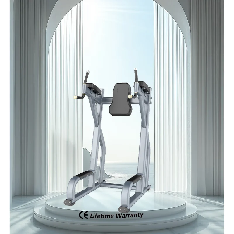 Strength Training/For Home Use/Free Shipping/Strength Training/Gym Equipment Wholesale/Bench/Racks/Shandong/New Design Premium