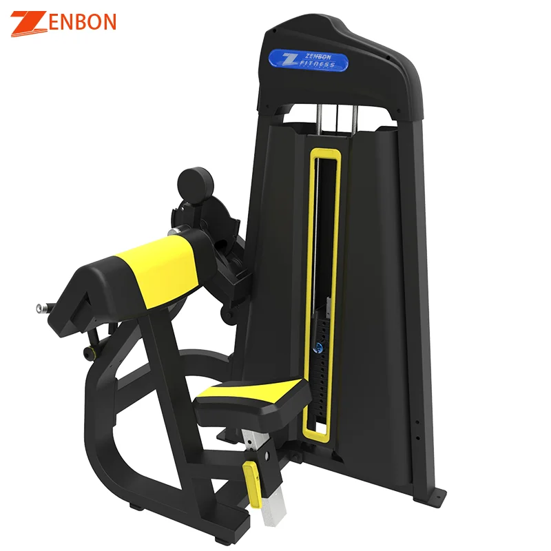 

Shandong Dual Function Strength Fitness Biceps Curl Triceps Machine
