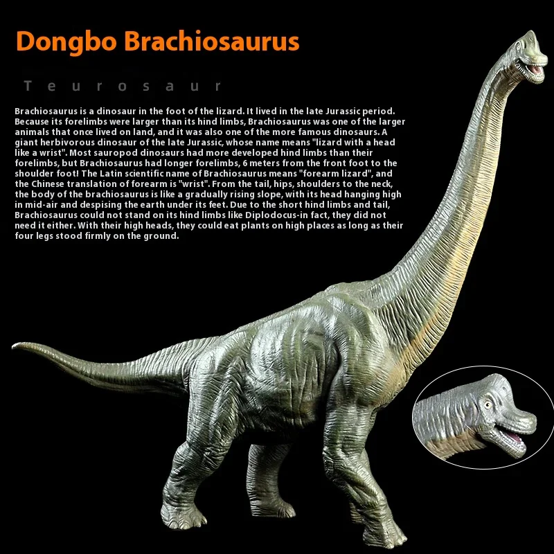 

Jurassic Simulation Dongbo Brachiosaurus Dinosaur Model Solid Dinosaur Boy Cognitive Collection Hand-made Ornament Toy