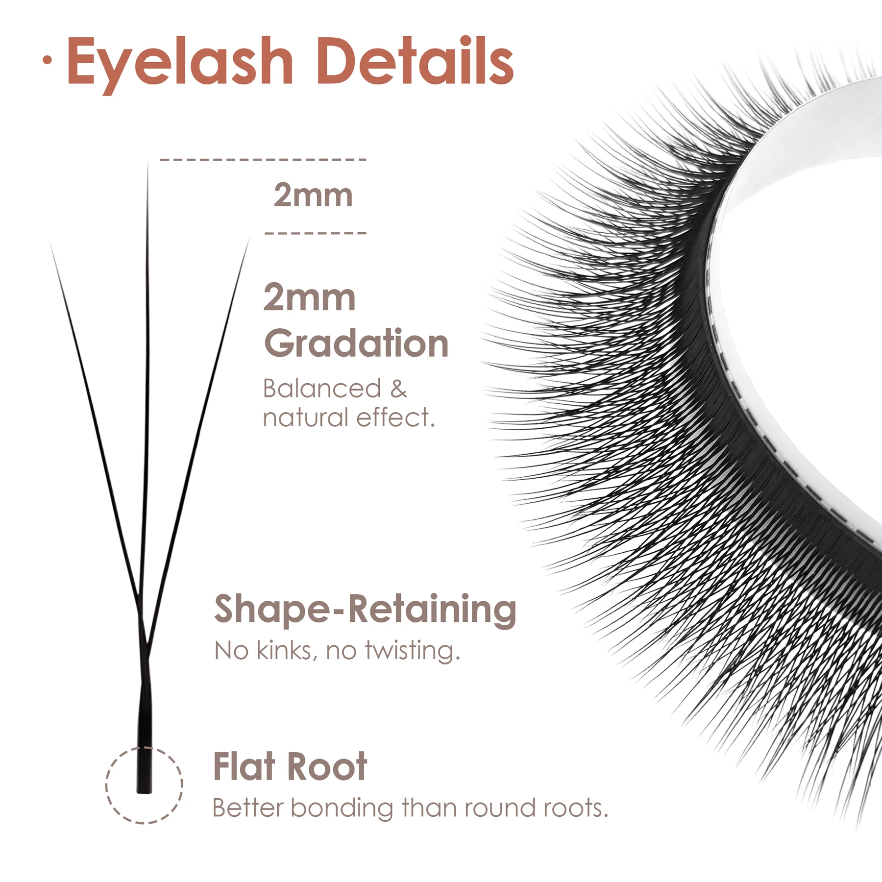 SEEDEW W-Form Wimpernverlängerungen Schmale 3D/4D/5D W Spark Clover Lashes Wispy Vorgefertigte Volumenfächer Falsche Wimpern – Detail 2