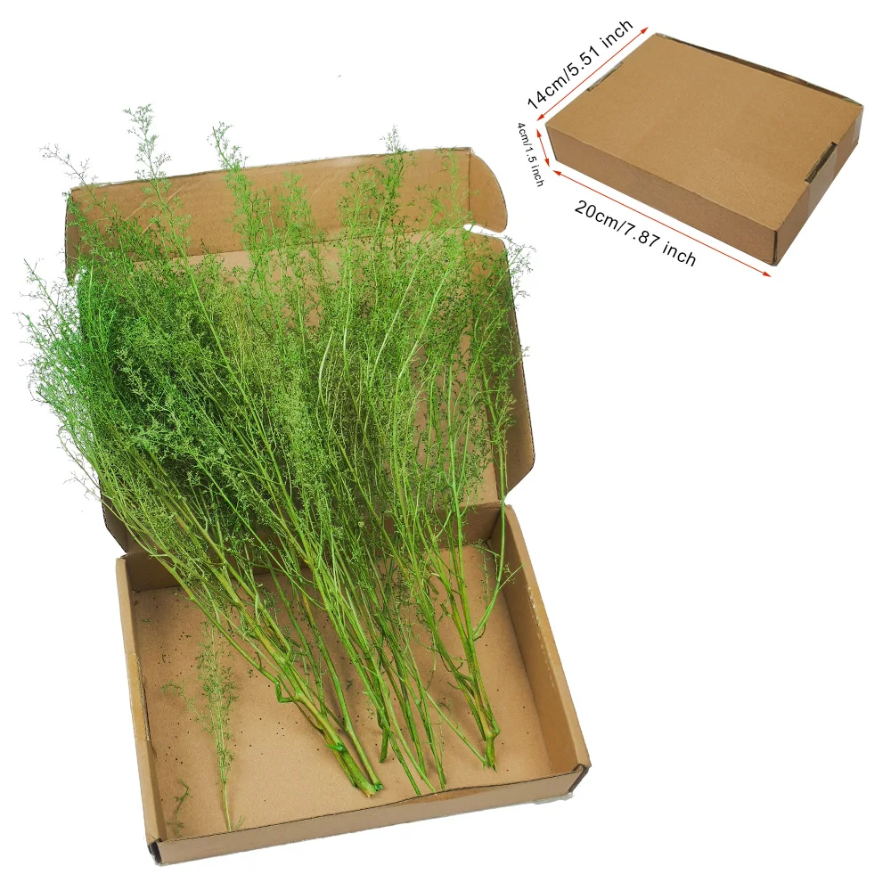 

Miniature Sea Foam Tree Grass Model Chenopodium aristatum Trees Bush For Military Wargame Railway Train Micro Landscape 1Box