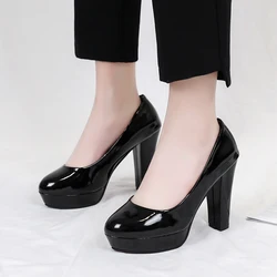 Platform High Heels Square Heel Pumps Women Spring Autumn Shoes Woman Fashion Shallow Office Shoes Slip-On Wedding Ladies Shoe