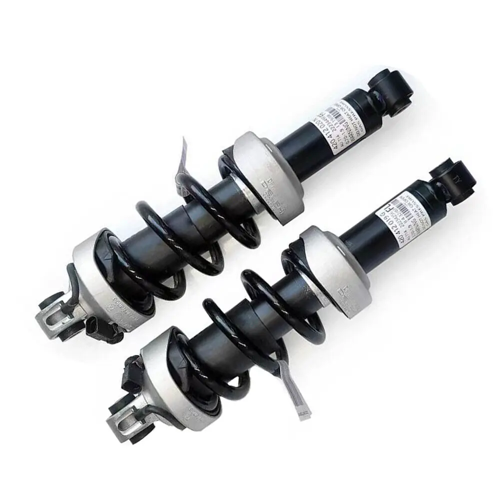 Front Left Front Right For Audi R8 Suspension Shock Absorber 420412019aj 420412020aj