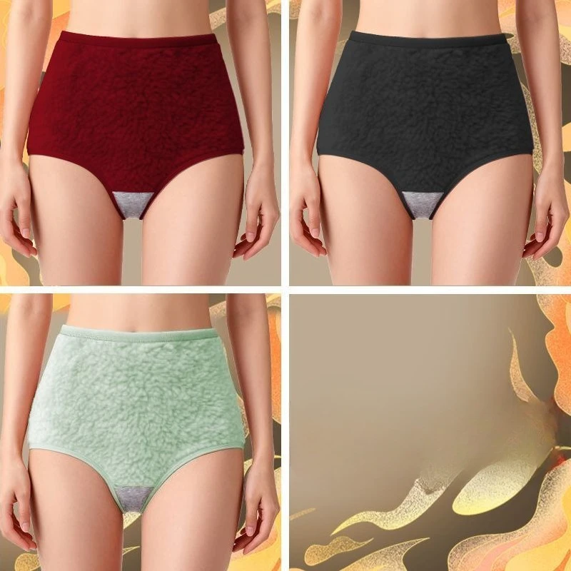 

3 шт., теплые трусы с замком на талии Palace из чистого хлопка, антибактериальные трусы с промежностью, утолщенное бархатное очень толстое женское нижнее белье с высокой талией