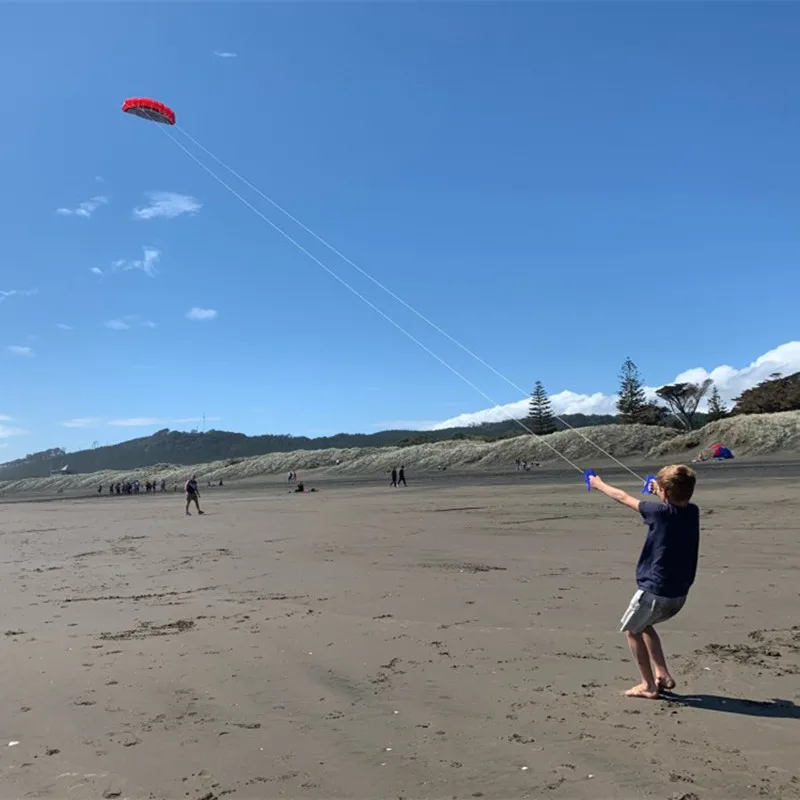 Gratis Verzending 250Cm Dubbele Lijn Stunt Macht Vliegers Vliegen Speelgoed Voor Kinderen Kite Surf Beach Vliegers Professionele Wind Vliegers factory Sport