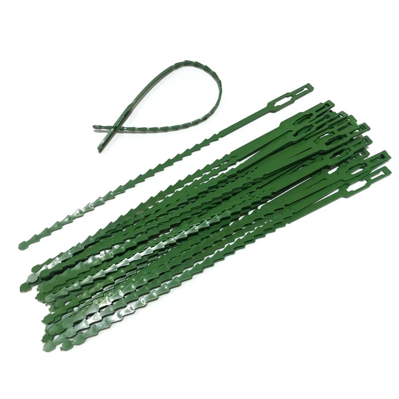 30/50 Pcs fascette per cavi da giardino riutilizzabili supporto per piante arbusti chiusura per alberi chiusura in Nylon regolabile in plastica PE fascette per cavi strumenti