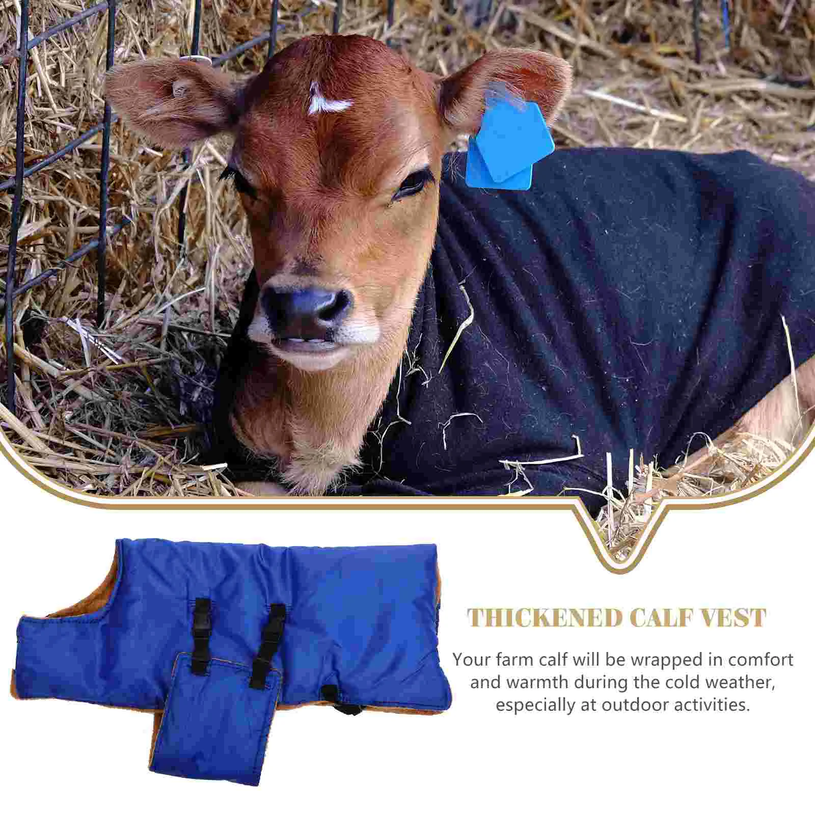 Fleece Blanket Calf Vest Clothes Goat Cow Warm Coat Clothing Pasture Supplies Blue Apparel Women's