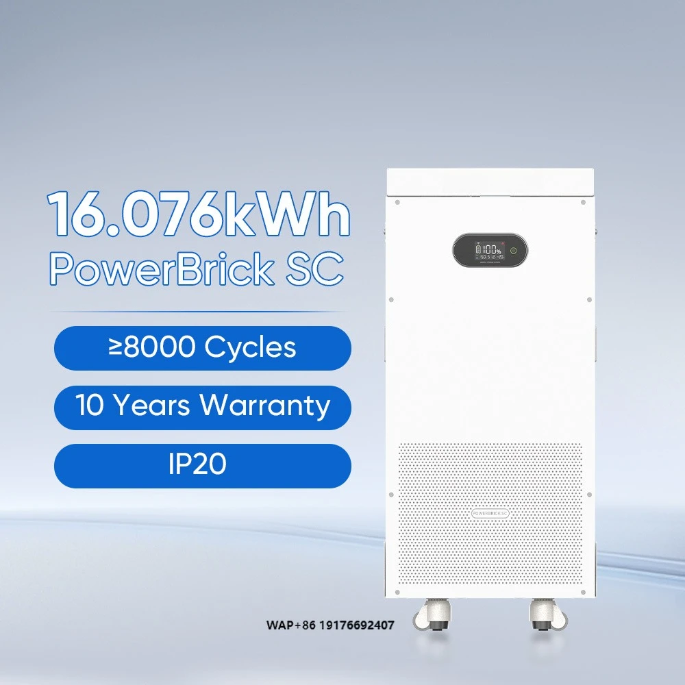 

Dyness PowerBrick 51.2V 314Ah 16kWh Wall-Mounted Home Energy Storage for Powerwall Battery