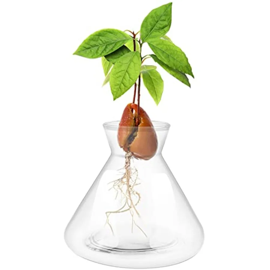 1 PCS Avocado Seed Starter Vases, Pit Planter Pot Avocado Tree Growing Kit Acorn Bulb Vase Grow Glass Blue Hydroponics Containe