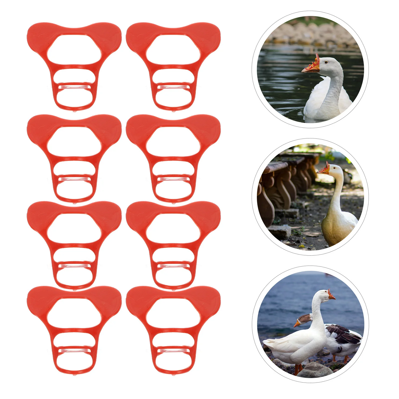 

50Pcs Large Goose Anti-Pecking Glasses Muscovy Eye Mask Poultry Glasses Farm Equipment Eye Mask for Farm